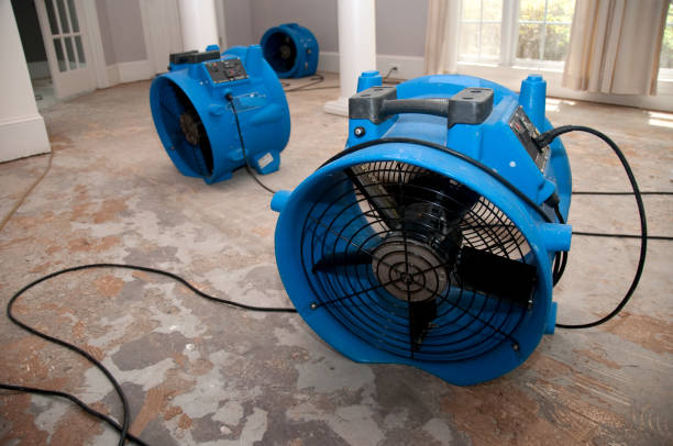 Best Local water damage restoration  in Denver City, TX